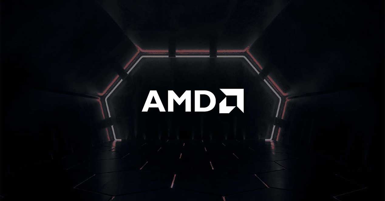 AMD Fondo