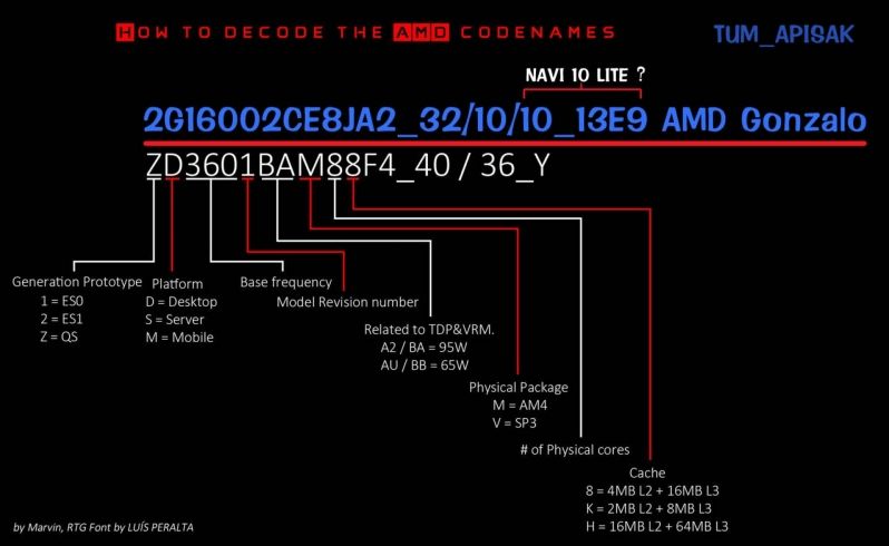 AMD Gonzalo, AMD Gonzalo details appear as the new SoC for the next XBOX, Optocrypto