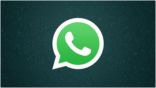 WhatsApp New Version With Gif support and More file Attachment