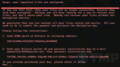 Petya Ransomware, What is Petya Ransomware? How to avoid, remove and protect your computer, Optocrypto