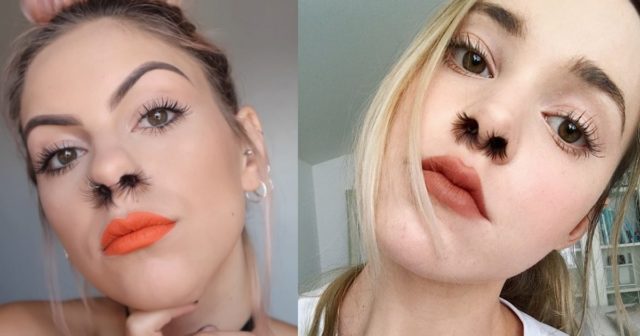 hair, A new viral: Nose hair extensions, Optocrypto