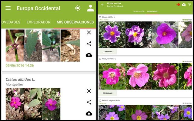 plants, 3 Android applications to recognize all kinds of plants instantly, Optocrypto