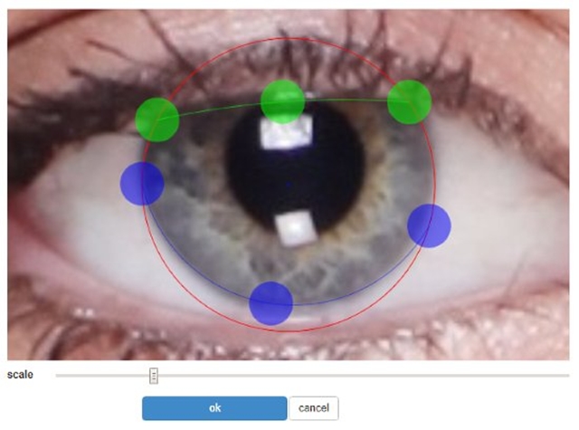 eyes, 3 websites that will change the color of your eyes in a photograph, Optocrypto