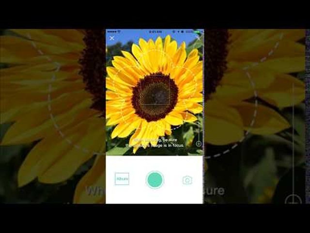 plants, 3 Android applications to recognize all kinds of plants instantly, Optocrypto