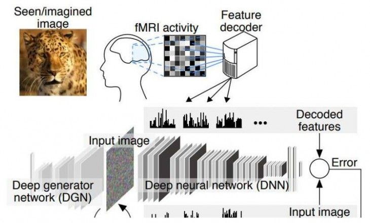 Deep Image Reconstruction, Deep Image Reconstruction: In Japan they have created a system that interprets and reconstructs what we think, Optocrypto