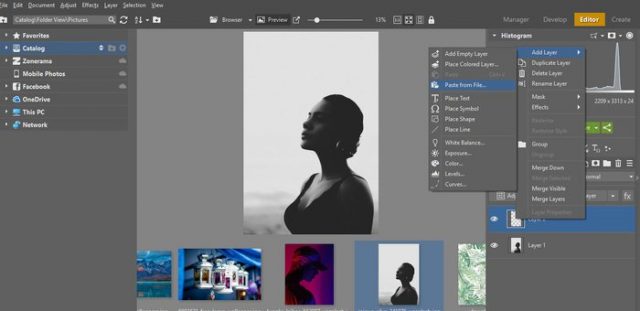 Six programs for creating images with double exposure in Windows 10, Six programs for creating images with double exposure in Windows 10, Optocrypto