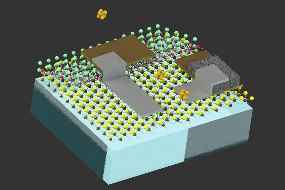 smallest robots, The smallest robots in the world, the size of a human cell, Optocrypto