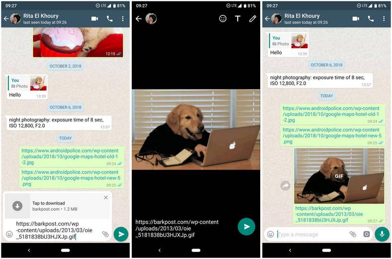 WhatsApp, WhatsApp gets a very useful feature for GIFs, Optocrypto